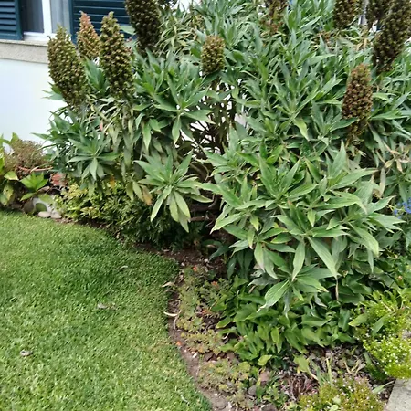 Casa Rural